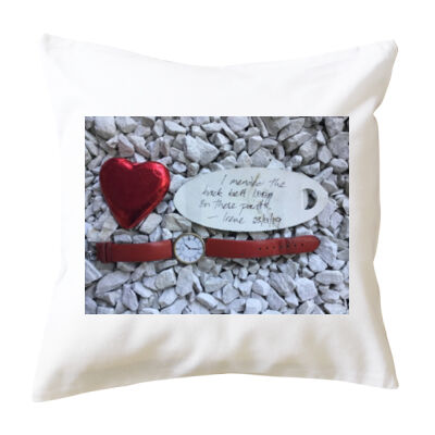 Irene mended these pants - Cushion cover Thumbnail