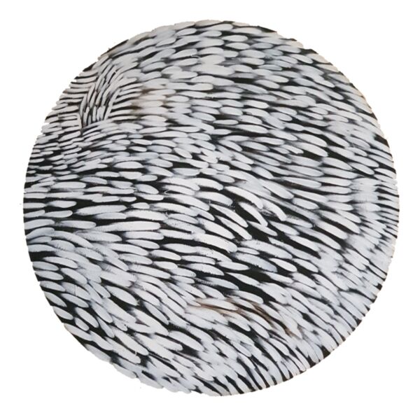 White Tuft Thumbnail